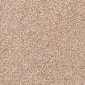 406 СВЕТЛЫЙ БЕЖЕВЫЙ