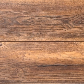 41187 Дуб Орхон